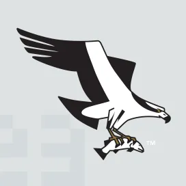 Missoula osprey